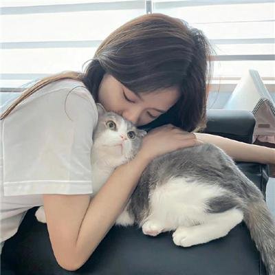 老夫子之小水虎传奇 在线观看
